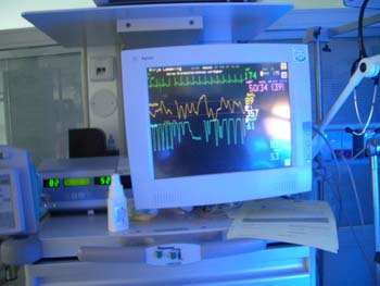 CIMG4667